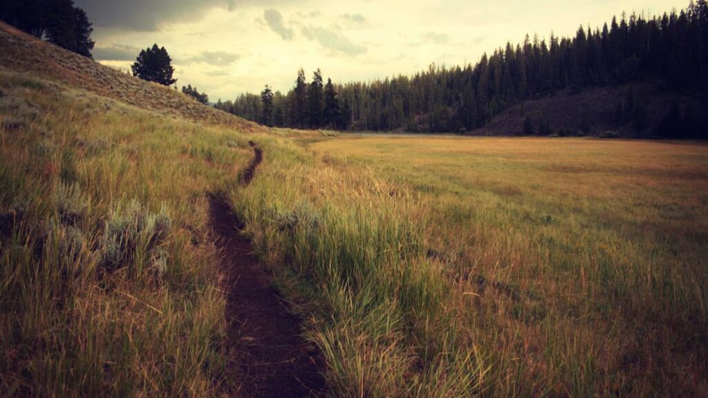 Mautkosten steuerlich absetzen: Was Geschäftsreisende und Vielfahrer in Österreich wissen müssen