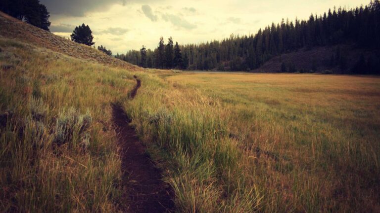 Mautkosten steuerlich absetzen: Was Geschäftsreisende und Vielfahrer in Österreich wissen müssen